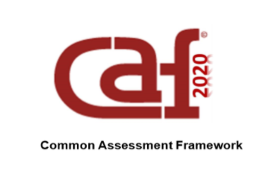 CAF 2020 – avaliar e melhorar o desempenho através da autoavaliação