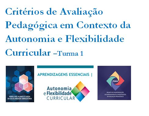 Critérios de Avaliação Pedagógica em Contexto da Autonomia e Flexibilidade Curricular- Turma 1