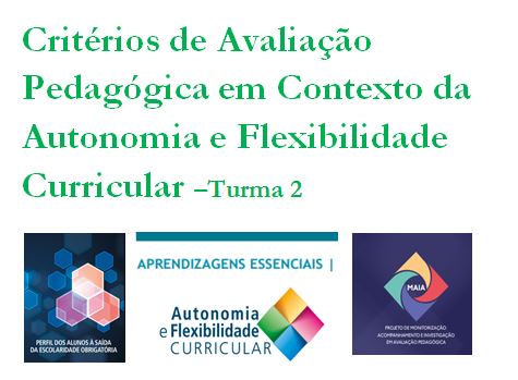 Critérios de Avaliação Pedagógica em Contexto da Autonomia e Flexibilidade Curricular –Turma 2